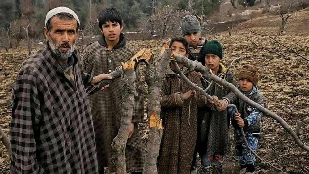 কাশ্মীরে উচ্ছেদ বন্ধ করুন, ভারত সরকারের কাছে আর্জি এমনেস্টির