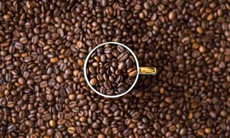 কেন্দ্রীয় বাজেটে হতাশ কর্নাটকের ক্ষুদ্র কফি চাষিরা