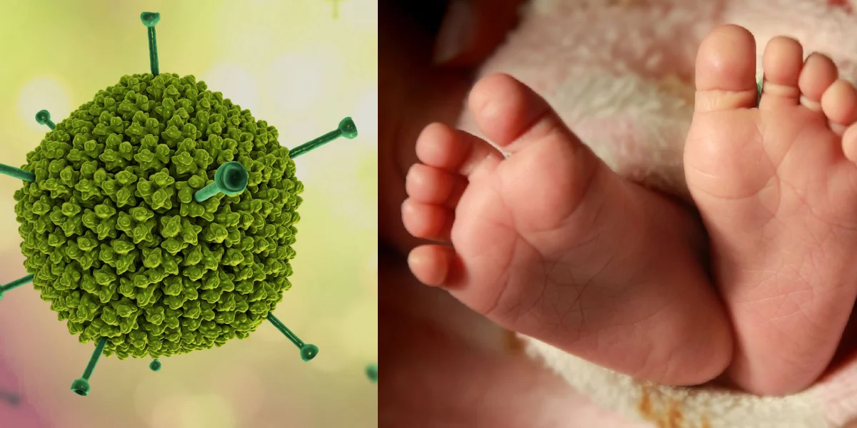 বাড়ছে অ্যাডিনোভাইরাস আতঙ্ক! কলকাতায় ২ শিশুর মৃত্যু, ICU-শয্যার হাহাকার