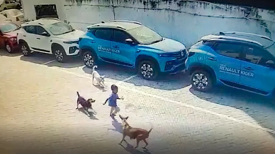 তেলেঙ্গানায় রাস্তার কুকুরের আক্রমণে ক্ষত-বিক্ষত হয়ে মৃত্যু ৪ বছরের শিশুর