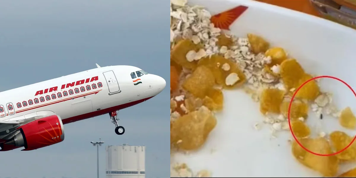 বিমানে যাত্রীর খাবারে জ্যান্ত পোকা! ক্ষমা চাইল এয়ার ইন্ডিয়া