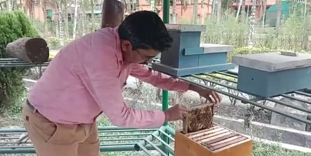 বিকল্প কর্মসংস্থানে সুন্দরবনবাসীর পাশে নিমপীঠ রামকৃষ্ণ কৃষি বিজ্ঞান কেন্দ্র