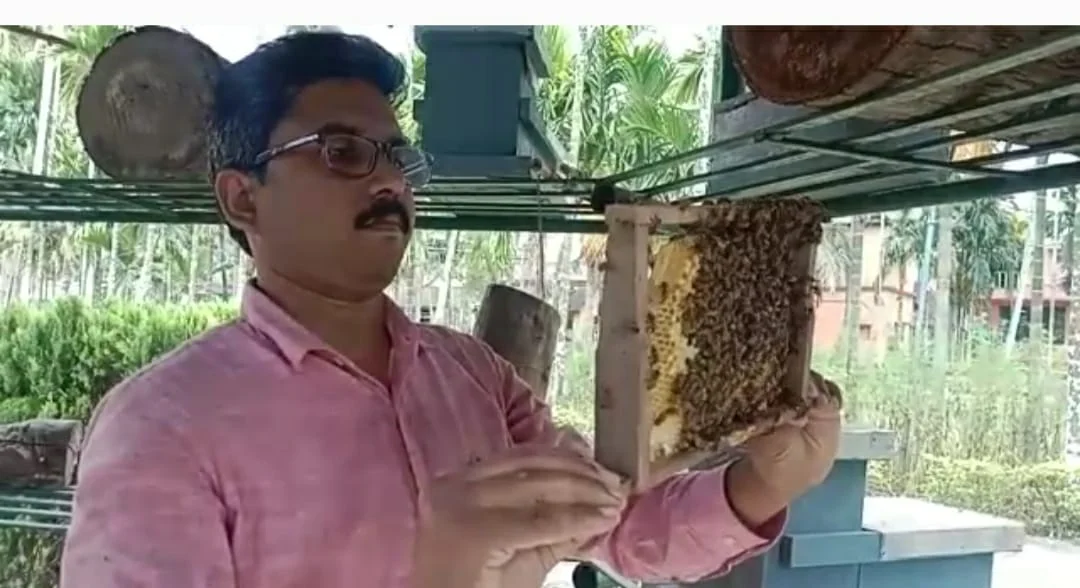 বিকল্প কর্মসংস্থানে সুন্দরবনবাসীর পাশে নিমপীঠ রামকৃষ্ণ কৃষি বিজ্ঞান কেন্দ্র