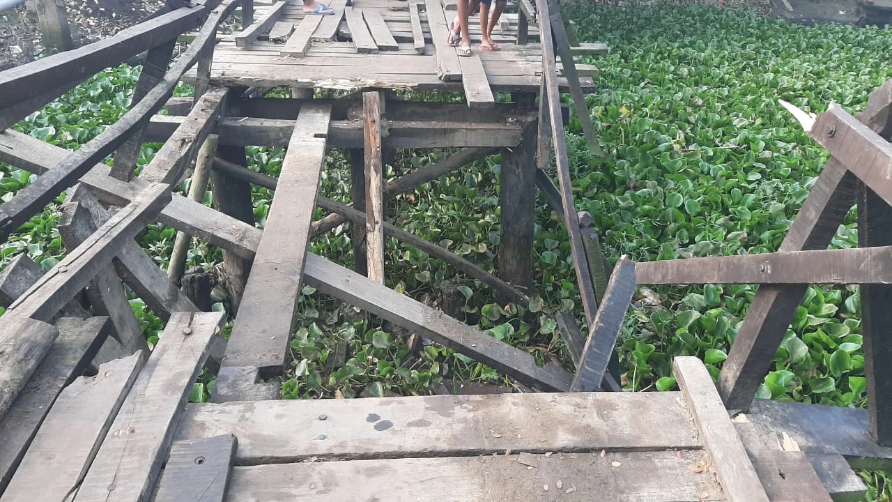 মগরাহাটের উত্তর বামনা গ্রামে সেতু ভেঙে বিপত্তি, বিপাকে উচ্চ মাধ্যমিকপরীক্ষার্থীরা