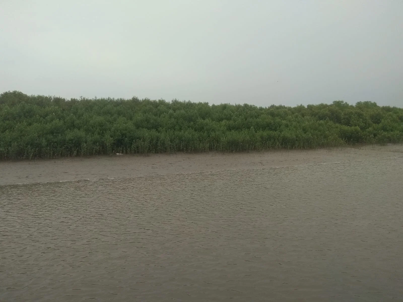 সপ্তাহে একদিন পর্যটকদের জন্য বন্ধ সুন্দরবন