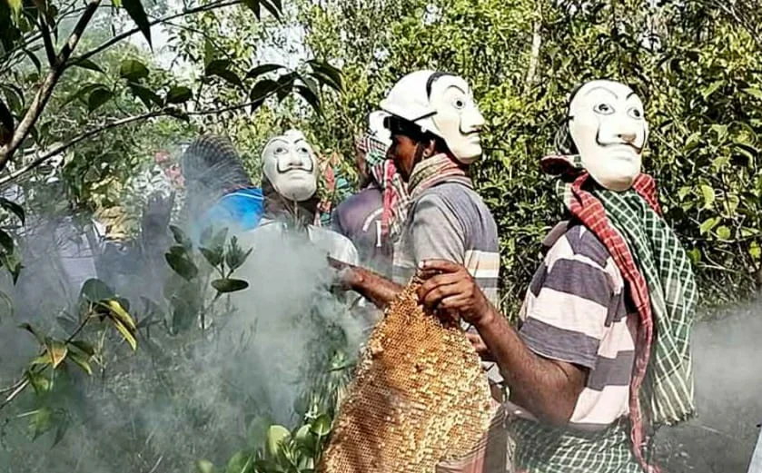 সুন্দরবনের মৌলেদের পাশে রাজ্য সরকার,  বাড়ানো হল মধু কেনার মূল্য