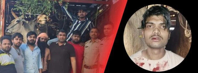গরু বহনকারী ট্রাক চালককে আক্রমণ গোরক্ষকদের, হিন্দু যুবতীকে প্রহার বজরং দলের