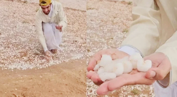 সউদি আরবে বিরল শিলাবৃষ্টি  