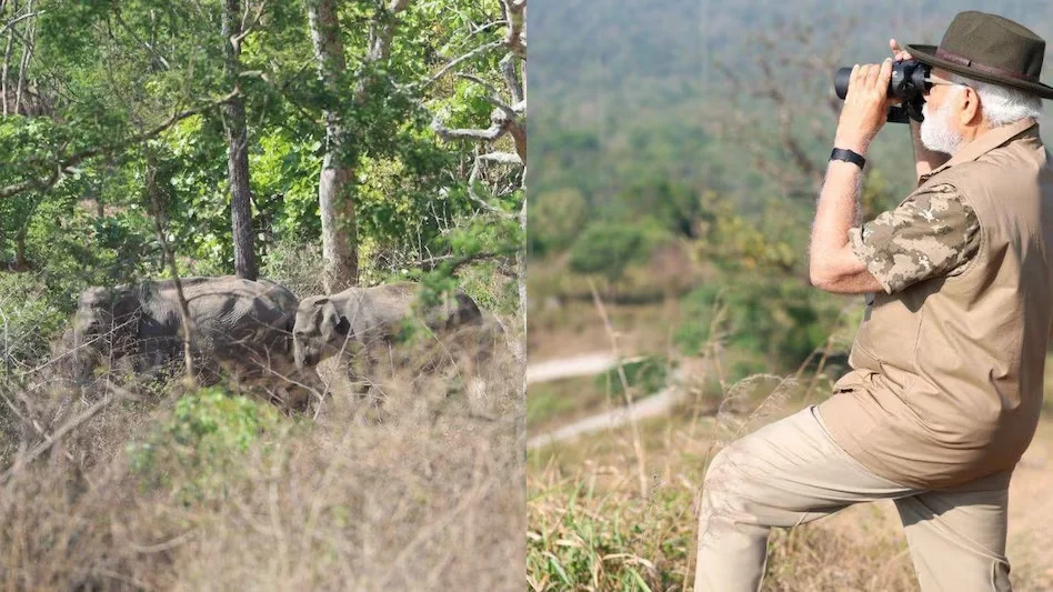 নতুন লুকে জঙ্গল সাফারিতে প্রধানমন্ত্রী নরেন্দ্র মোদি