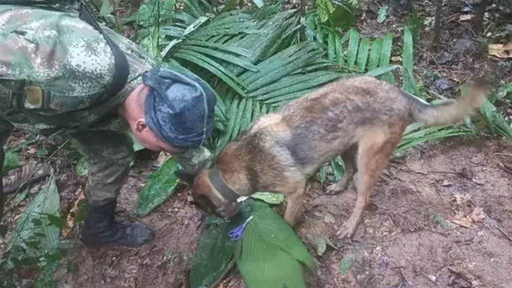 ১৭ দিন আমাজনে জীবিত চার শিশু !