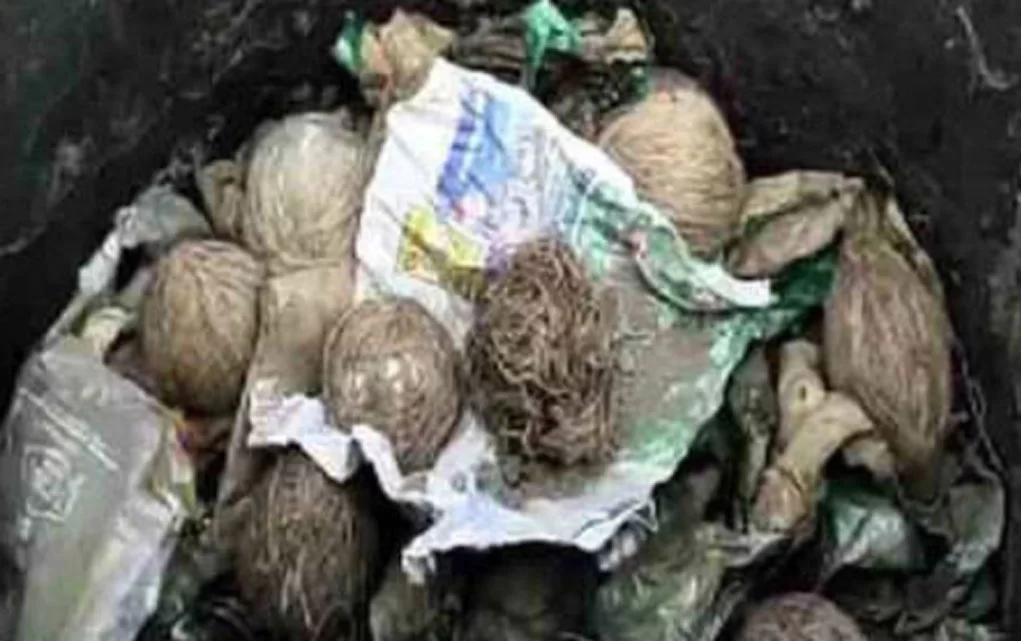 ফের বীরভূমে বিপুল পরিমাণে বোমা উদ্ধার