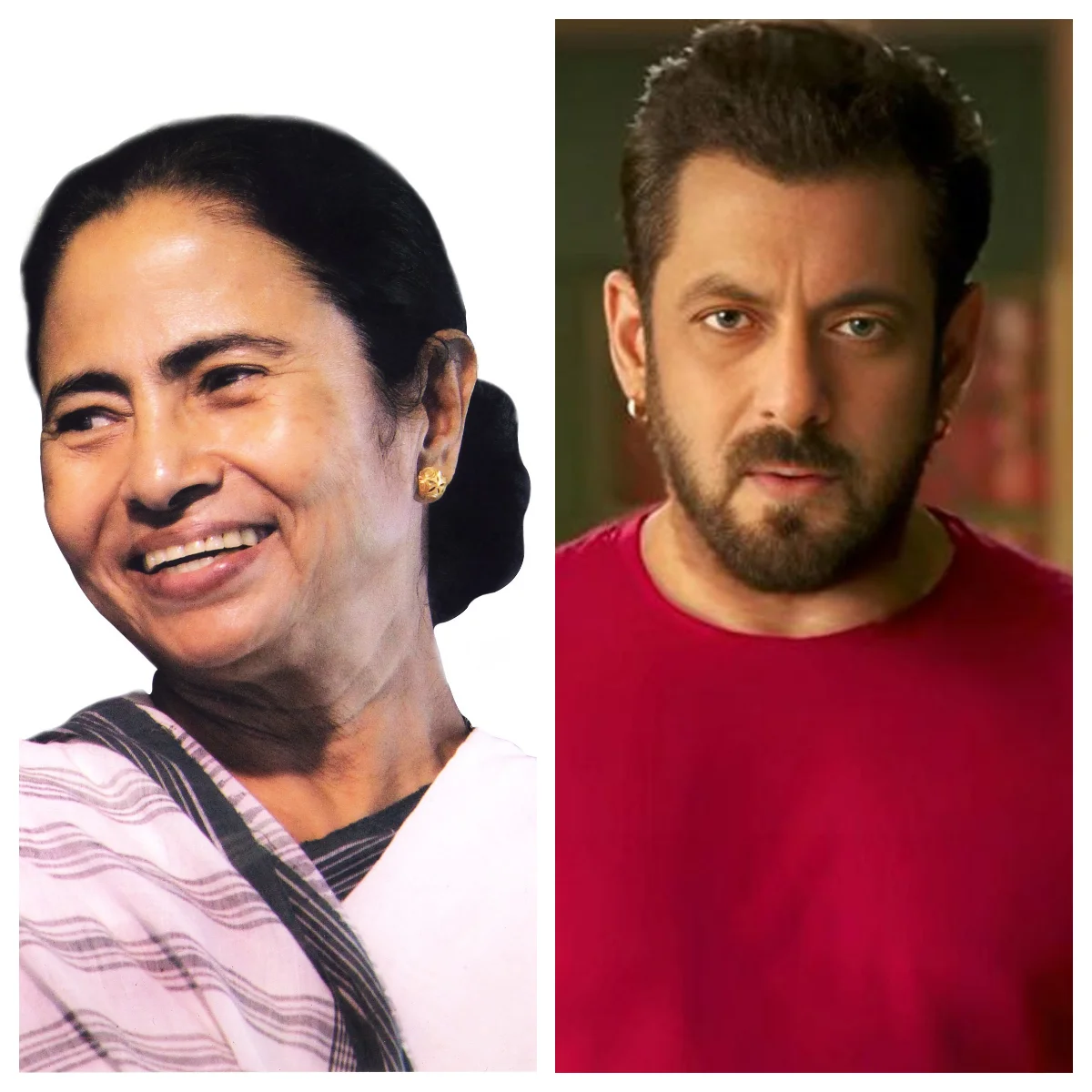 কলকাতায় আসছেন সলমন খান, যাবেন মুখ্যমন্ত্রীর বাড়ি