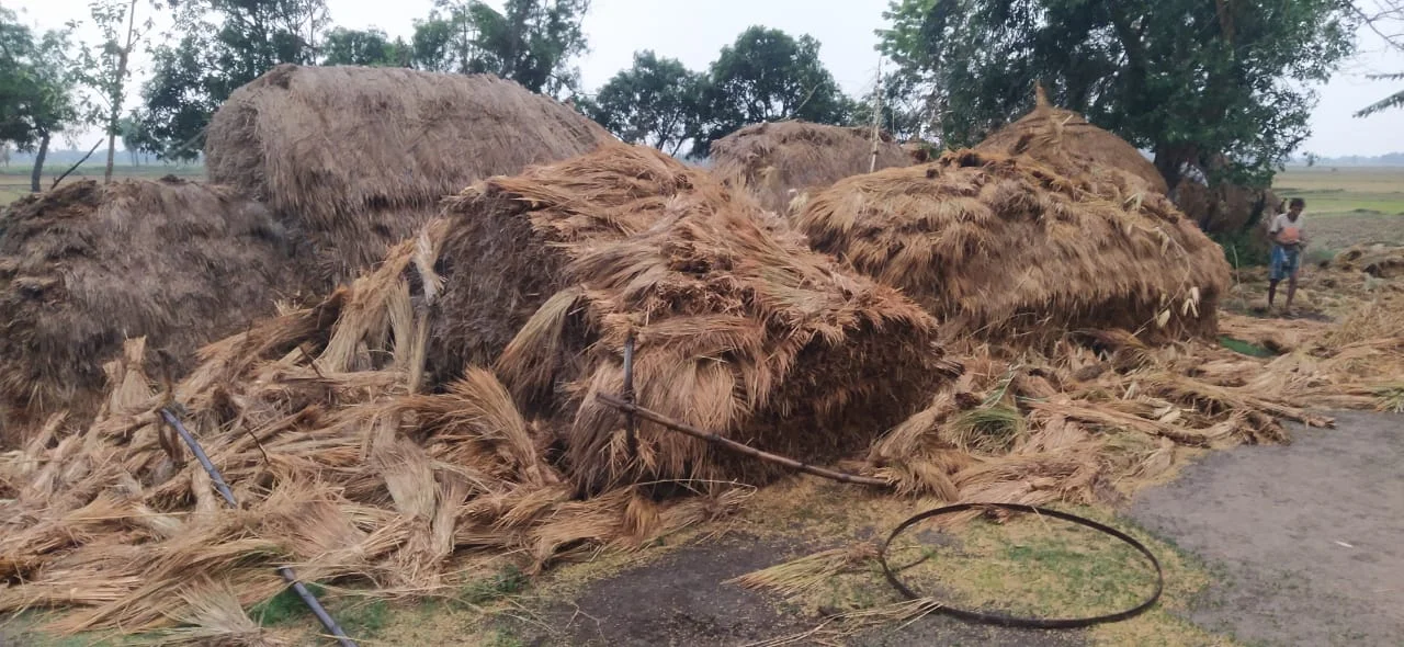 কালবৈশাখীর তাণ্ডবে ক্ষয়ক্ষতি, বিচ্ছিন্ন বিদ্যুৎ সংযোগ