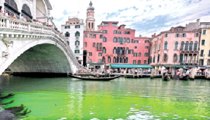 হঠাৎ জলের রঙ সবুজ! অবাক কাণ্ড ভেনিসে