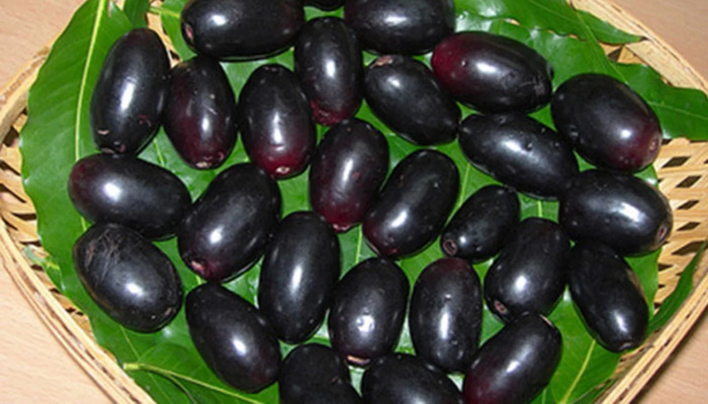 গ্রীষ্মকালীন ফলের উপকারিতা