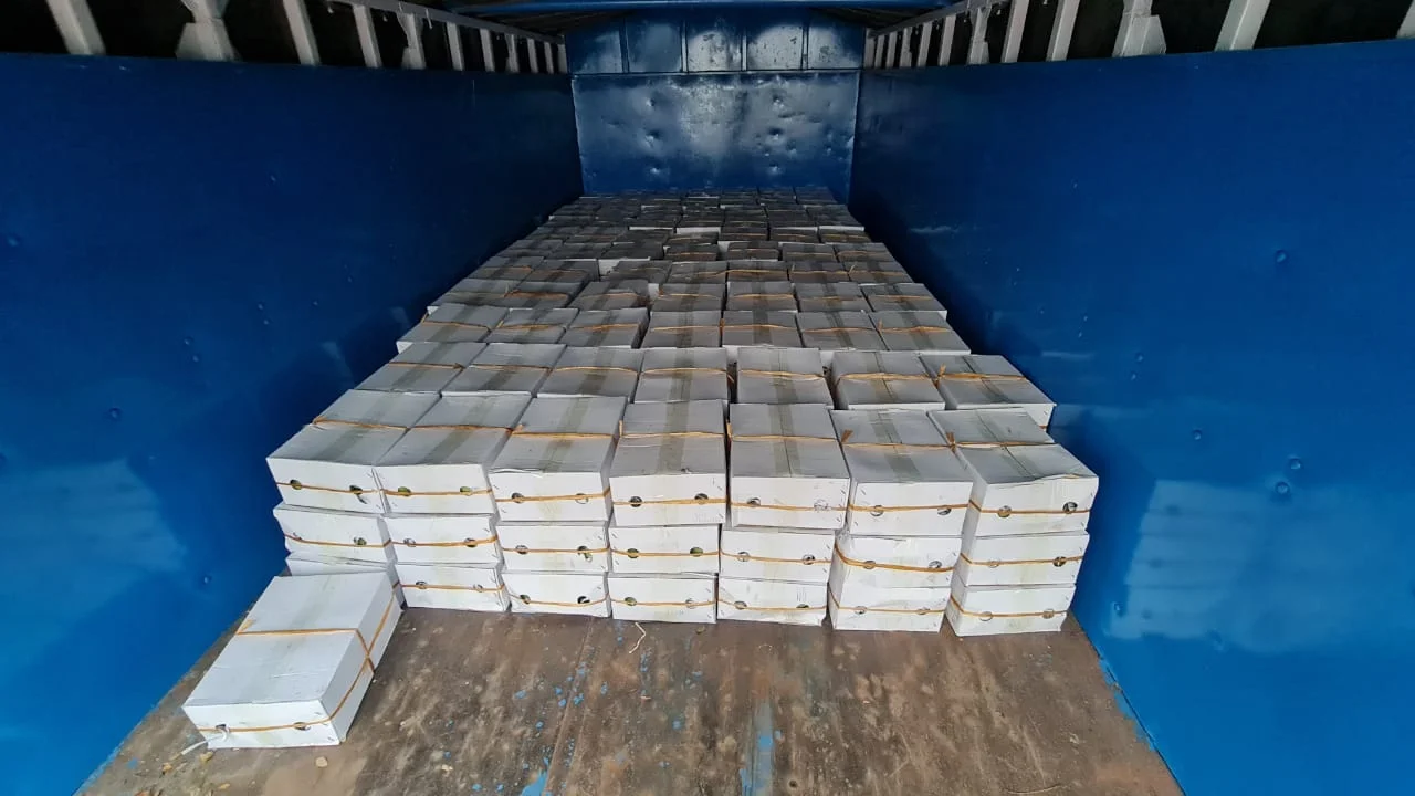 মুখ্যমন্ত্রী ৬০০ কেজি আম উপহার শেখ হাসিনার