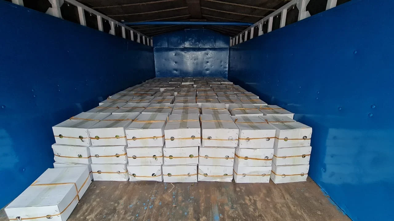 মুখ্যমন্ত্রী ৬০০ কেজি আম উপহার শেখ হাসিনার