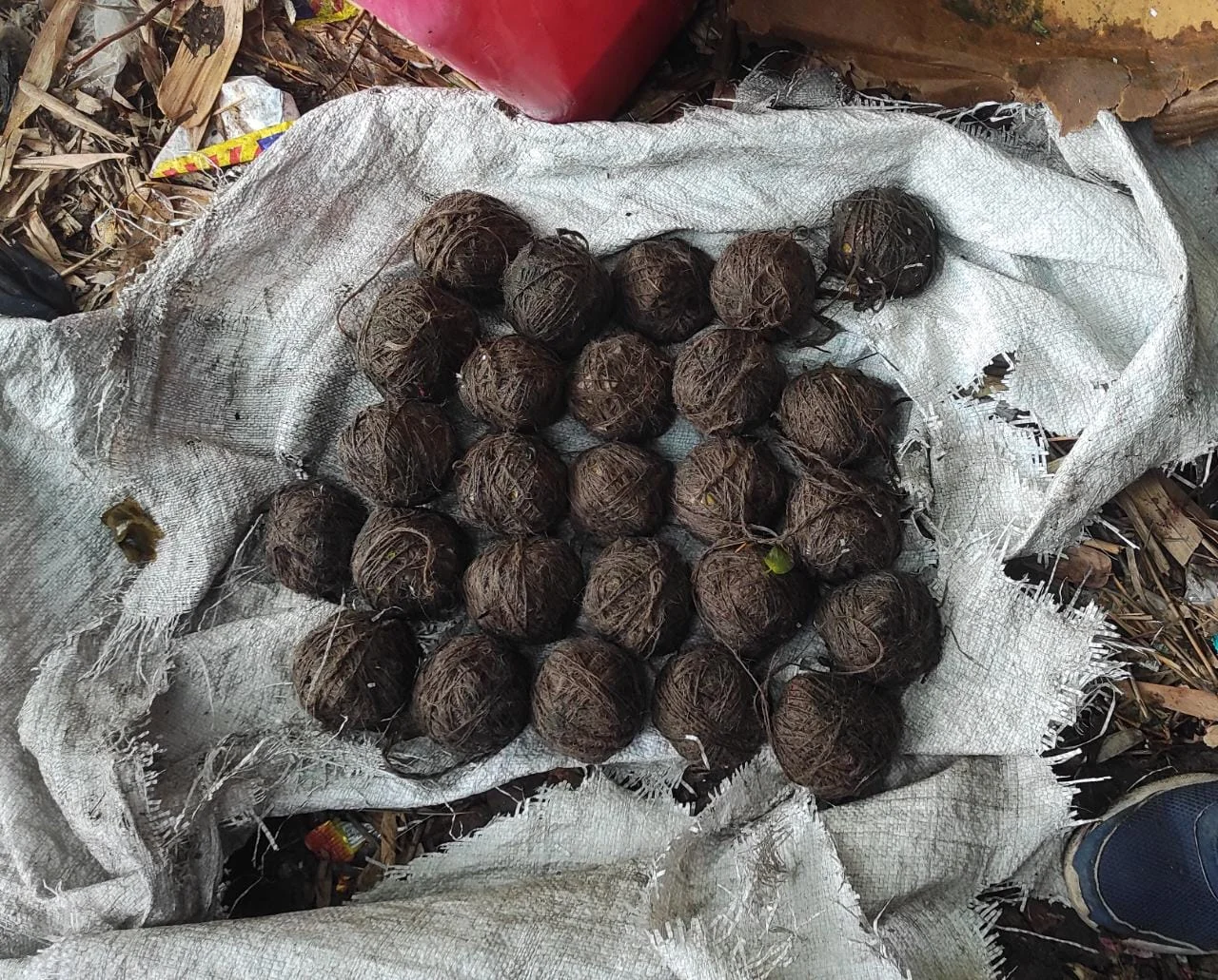 পঞ্চায়েত ভোটের আগে হাওড়ার ডোমজুড়ে উদ্ধার বোমা, গ্রেফতার ১