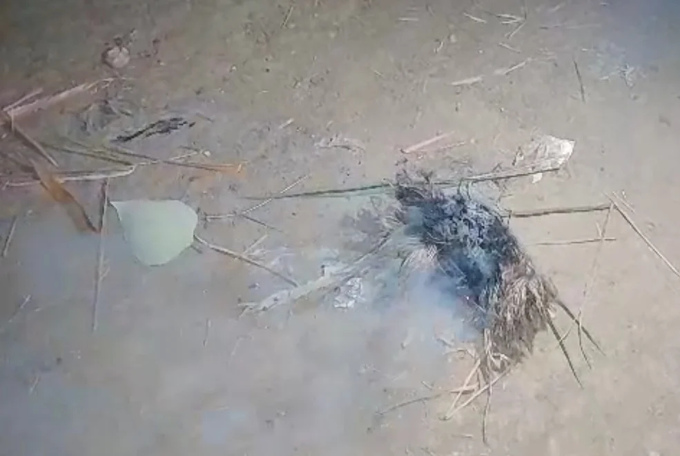 পঞ্চায়েত ভোটের আগে উত্তপ্ত হাওড়ার জগৎবল্লভপুর, ব্যাপক বোমাবাজি