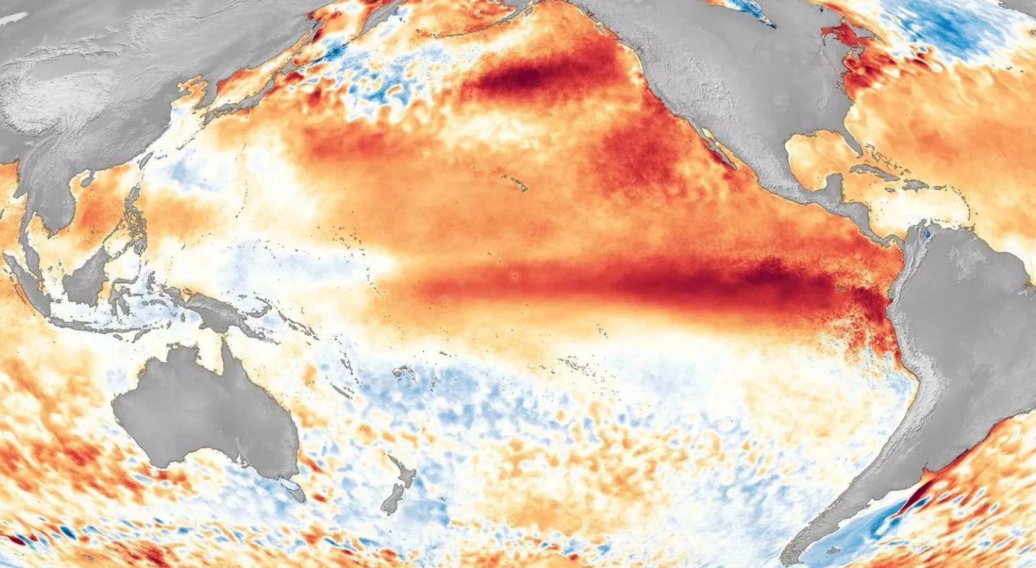 অতিরিক্ত বন্যা ও খরার জন্য দায়ী 'এল নিনো'! বিশ্বে এর প্রভাব কি জানুন