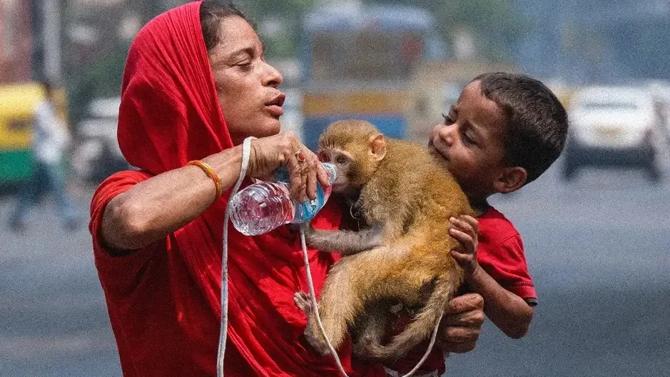 তীব্র তাপপ্রবাহের জেরে উত্তরপ্রদেশ ও বিহারে মৃত্যুমিছিল, প্রাণহানি ৯৮ জনের