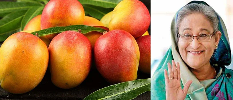 মালয়েশিয়ার প্রধানমন্ত্রীকে আম উপহার শেখ হাসিনার