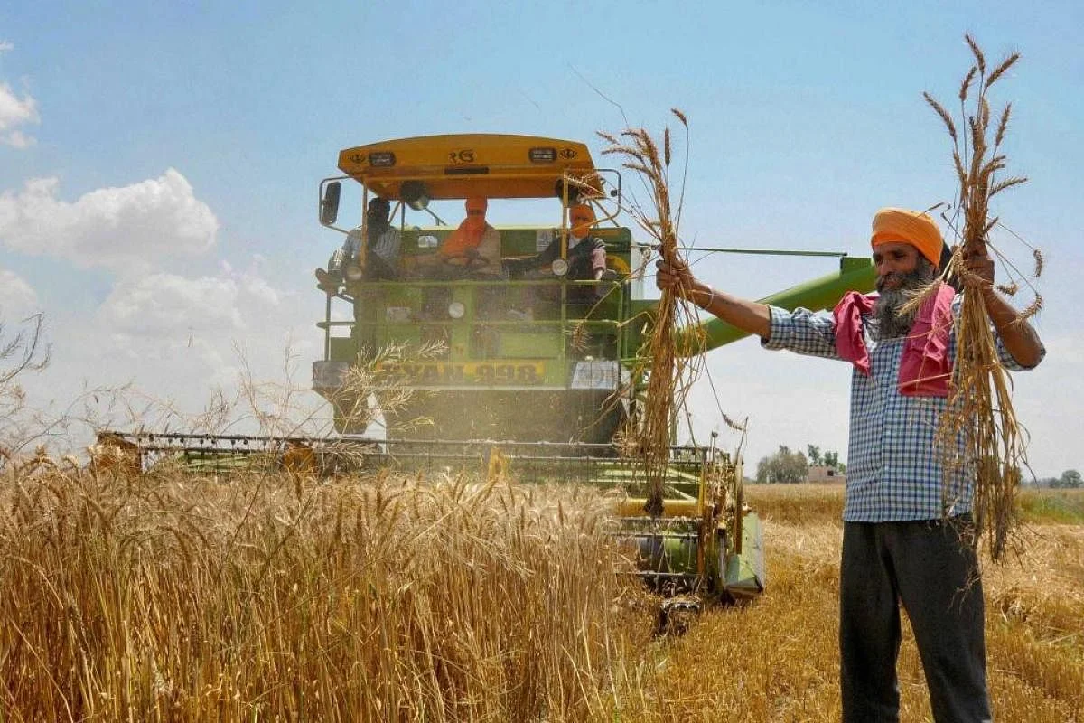 মূল্যস্ফীতি নিয়ন্ত্রণে কেন্দ্র এফসিআই-কে গম, চালের ই-নিলাম পরিচালনার নির্দেশ 