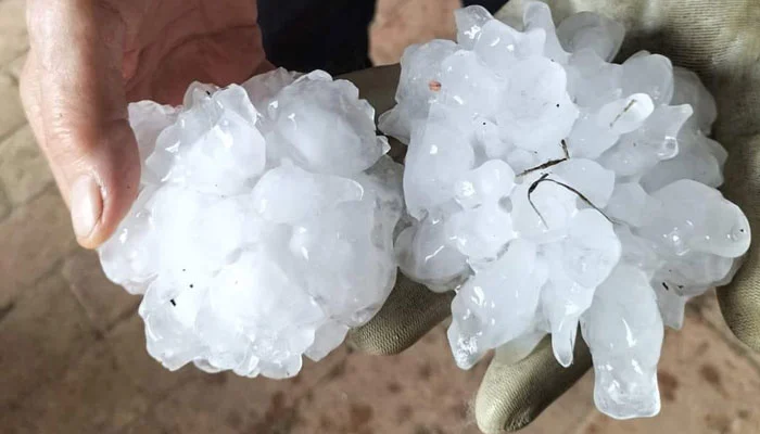 টেনিসের আকারে শিলাবৃষ্টি!‌ ইতালিতে আহত শতাধিক