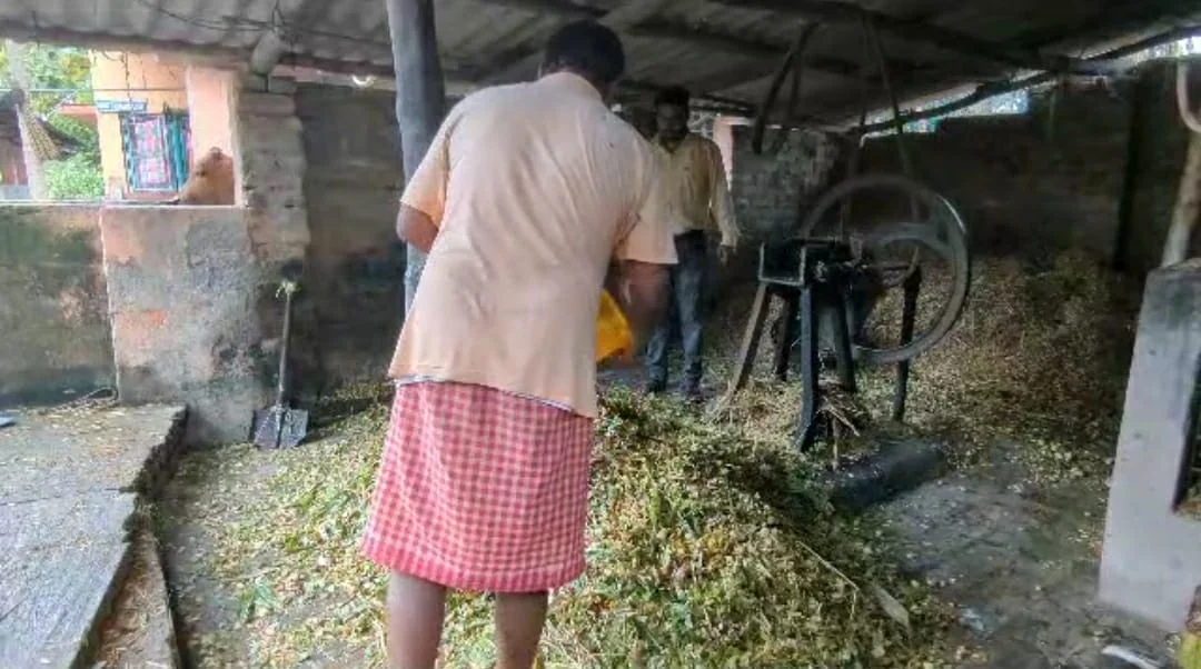 পশু খাদ্য থেকে সাইলেজ বানানোর প্রশিক্ষণ ও কর্মশালা হয়ে গেল নিমপীঠে