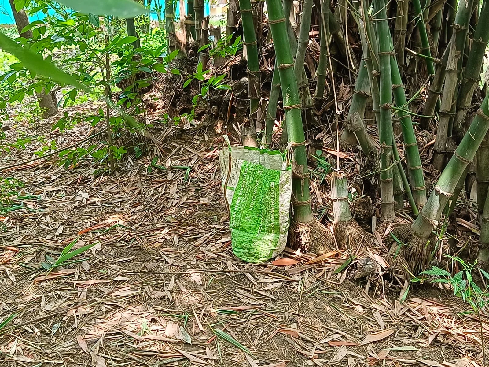 ফের বোমা উদ্ধার বীরভূমের সিউড়িতে