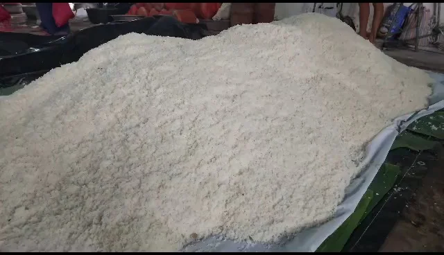 ২১ জুলাইয়ের উন্মাদনা আবেগ তুঙ্গে,  সকাল থেকেই মানুষের ঢল হাওড়া স্টেশনে  
