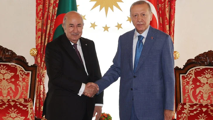 তুর্কি ও আলজেরীয় নেতার বিশেষ বৈঠক