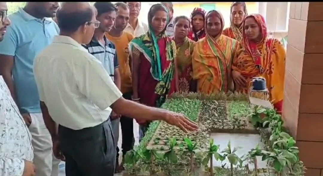 কৃষি বিষয়ক প্রশিক্ষণ শিবির নিমপীঠে