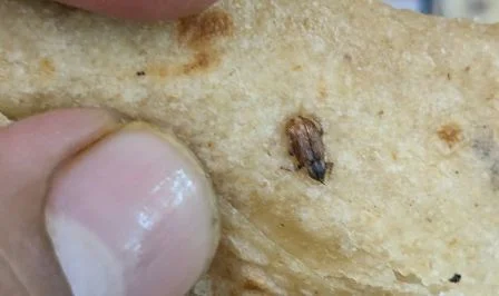 খাবারে মিলল মরা আরশোলা, বন্দে ভারতে খাবারের মান নিয়ে প্রশ্ন