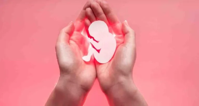 মেডিকেল বোর্ডের ছাড়পত্র মিললে তেরো বছরের কিশোরীর গর্ভপাতের অনুমতি কলকাতা হাইকোর্টের