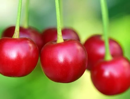 ঘুম কি কম হচ্ছে? নিয়ম করে এই পানীয় খান উপকার পাবেন...