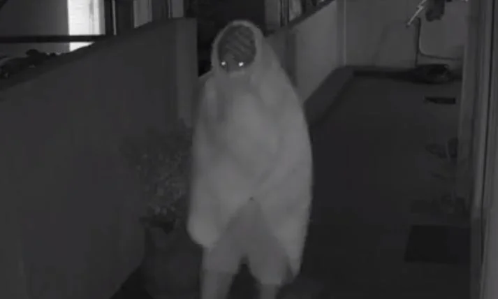 সিসিটিভি ক্যামেরায় ধরা পড়ল চাড্ডি গ্যাং, শহরবাসীকে সতর্ক থাকার বার্তা পুলিশের