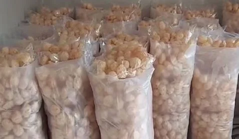 অটোচালক থেকে বড় ফুচকা ব্যবসায়ী, মাসিক আয় ৫ লক্ষ টাকা