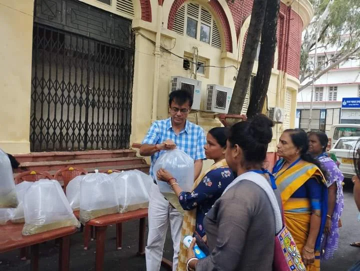ডেঙ্গুর বাড়বাড়ন্ত রুখতে হাওড়া পুরসভা এলাকায় খোলা ড্রেনে ছাড়া হচ্ছে গাপ্পি মাছ
