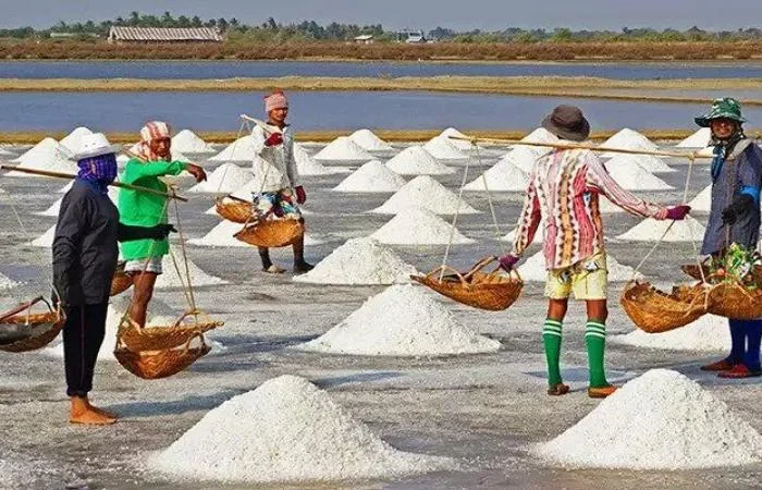 হঠাৎ কেন নুন কেনার হিড়িক পড়ল চিনে?