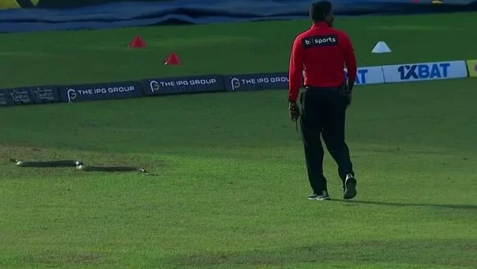 শ্রীলঙ্কায় সাপের উৎপাতে ভয়ে কাঁটা ক্রিকেটাররা