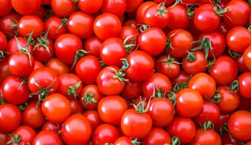 দাম কমার আশ্বাস, ৭০ টাকা কেজিতে মিলবে টম্যাটো বললেন অর্থমন্ত্রী নির্মলা