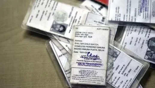 মাছ ধরার জালে উঠল ভোটার কার্ডের বান্ডিল, চাঞ্চল্য