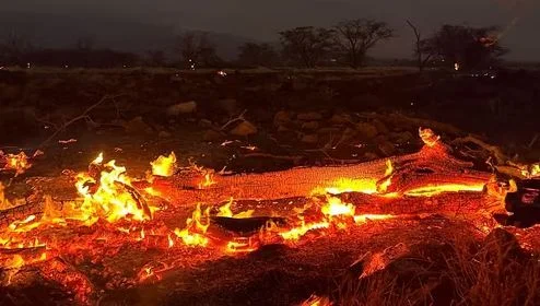 আমেরিকার হাওয়াই দ্বীপে দাবানল, মৃত্যু বেড়ে ৫৩, নিখোঁজ ১০০০