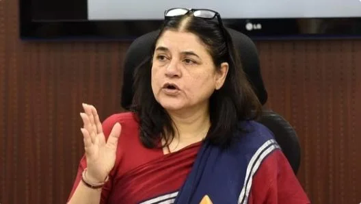 মানেকা গান্ধির ‘কসাইদের গরু বিক্রি’ মন্তব্যে আইনি পথে ইসকন, ১০০ কোটির মানহানির নোটিশ