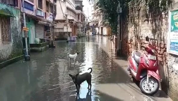 রাস্তায় জমছে জল, হাওড়ায় বিক্ষোভে মহিলারা
