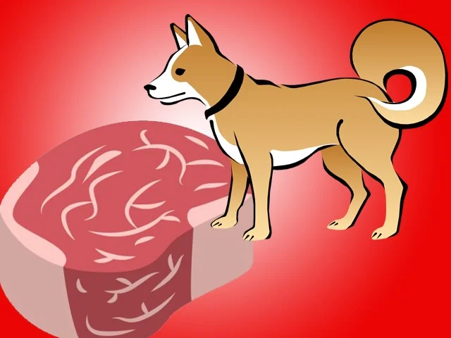 কুকুরের মাংস খাওয়া নিষিদ্ধ হচ্ছে দক্ষিণ কোরিয়ায়