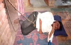 পণের দাবিতে স্ত্রীকে অত্যাচার, তালা-চেনে শিকলবন্দি জামাই
