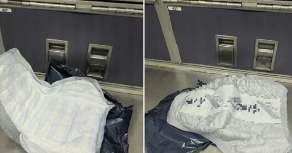 ডায়পারকে বোমা ভেবে জরুরি অবতরণ!