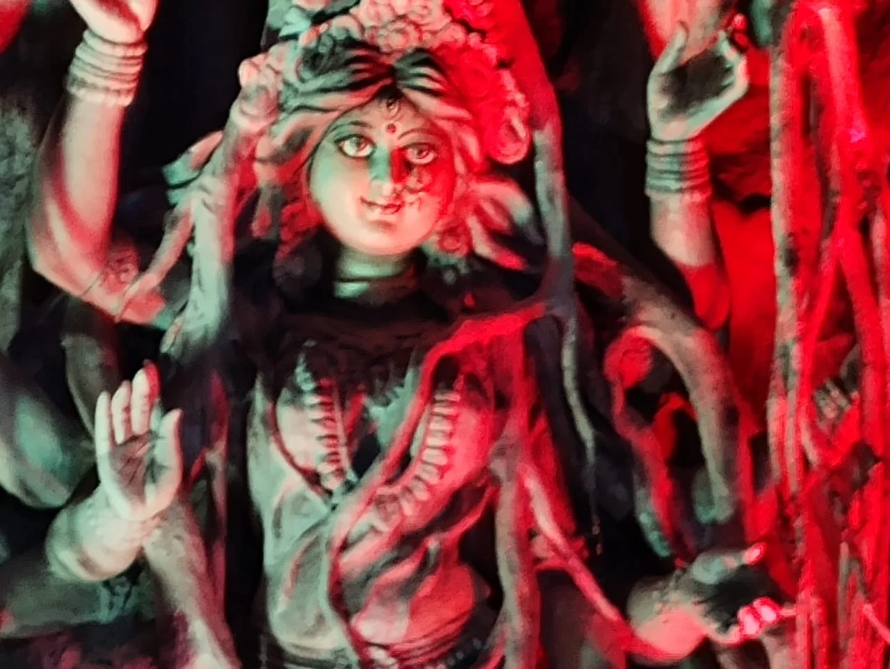 জয়নগরে দুটি পুজোর ভার্চুয়াল উদ্বোধন মুখ্যমন্ত্রীর